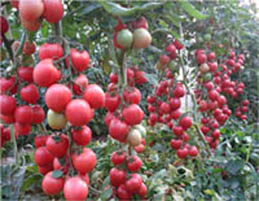 ����401